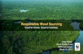 Responsible Wood Sourcing€¦ · Global markets. Capacity building & support for logging companies to practice sustainable forestry Capacity building of local communities and NGOs