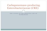 Carbapenemase-producing Enterobacteriaceae (CRE)...CRE Infections associated with crude mortality rates of 44-70%. 7% of K. pneumoniae BSIs reported to the European Antimicrobial Resistance
