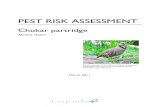 PEST RISK ASSESSMENT...Pest Risk Assessment: Chukar partridge Alectoris chukar 3/20 1. Summary The chukar partridge (Alectoris chukar) is native to the mountainous regions of Asia,