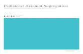 Collateral Account Segregation - LCH · 2018-01-26 · 2.4 Account Segregation Options The following diagram outlines the different account options available to Clearing Members under