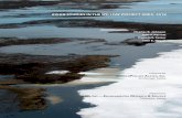 Prepared for C P A , i - Alaska North Slope€¦ · in the GMTC and Willow loon survey areas, NE NPR-A, 2014, 2017, and 2018.....29 LIST OF APPENDICES Appendix A. Annual density of
