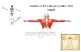 Pearls in the Musculoskeletal Exam - skinbonescme.com€¦ · Pearls in the Musculoskeletal Exam Frank Caruso DMSc, PA-C, EMT-P Skin, Bones, Hearts & Private Parts 2019. Examination