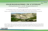 OVERGRAZING IN CYPRUS - EuropaOVERGRAZING IN CYPRUS Adaptations and degradation processes A CASCADE Project case study in the Randi Forest, Pissouri, Cyprus by V. Ramón Vallejo (CEAM,