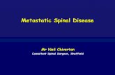 Metastatic Spinal Disease Spinal disease_WP… · Clinical presentation ... NICE guidance - CG75 (2008 and review 2014) • Early detection - Patient information • MRI whole spine