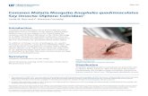 Common Malaria Mosquito Anopheles …The feeding prefer-ence is principally for ruminants, equines, lagomorphs, and canines (Jensen et al. 1996). Human blood-feeding rates vary with