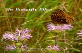 The Butterfly Effect - Neighborhood Greening...The Butterfly Effect. 1 2 An Introduction to This Journal In mathematical chaos theory, the butterfly effect is the concept that a very