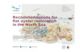 Recommendations for flat oyster restoration in the North Sea...5.2 Oyster sources and treatment prior to deployment 25 5.3 Seed population: age structure, condition, test population