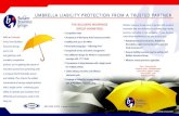 UMBRELLA LIABILITY PROTECTION FROM A TRUSTED PARTNER - Builders Insurance … · 2019-09-19 · Builders Insurance Group offers a suite of property casualty insurance products to