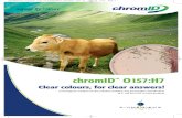006GB99037D chromID™ 0157 H7:006GB99037C chromID™ 0157 · chromID™ O157:H7 Agar other E. coli E. coli O157:H7 E. coli O157: H7 ATCC 43890 E. coliO157:H7 ATCC 43890 + Citrobacter