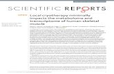 Local cryotherapy minimally impacts the metabolome and ...cmendias/Publications/... · negligible acute biochemical and molecular changes in the skeletal muscle of human subjects.