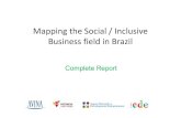 MappingtheSocial / Inclusive Business fieldin Brazil€¦ · social/inclusive business field in Brazil: Social/inclusive businesses Developers • Incubators • Accelerators •