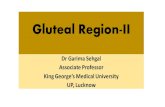 Gluteal Region-II...Dr Garima Sehgal Associate Professor King George’s Medical University UP, Lucknow Structures in the Gluteal region •Bones & joints •Ligaments •Muscles •Vessels