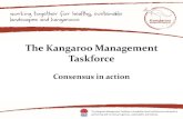 The Kangaroo Management Taskforce - NSWLandcareConf€¦ · MLA Social Acceptability project Agrifutures Review of Humaneness Assessment of Kangaroo Control ... Building awareness