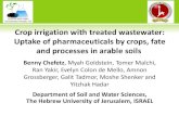 Crop irrigation with treated wastewater: Uptake of ......High quality of TWW (10/10, BOD/TSS) Disinfection + filtration + fecal coliforms 10 MPN/100 mL unlimited irrigation Medium