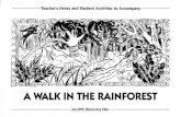 A Walk In The Rainforest - Teacher's Notes · 2008-08-20 · typica rainforest. 3. There are reasons for the destruction of the rainforests. Find out why it happens, and discuss With