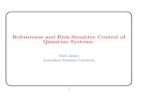 Robustness and Risk-Sensitive Control of Quantum Systemsusers.cecs.anu.edu.au/~Matthew.James/docs/pracqsys04-james.pdf · Robust quantum parameter estimation: coherent magnetometry