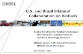 U.S. and Brazil Bilateral Collaboration on Biofuels · 5 -20 0 20 40 60 80 100. Corn EtOH (average 18 MN mills, one coal, 2010) Corn EtOH (projection, 2022) Sugarcane EtOH (average