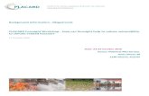 PLACARD Vienna Foresight Workshop Background Megatrends · 2018-03-26 · PLACARD Foresight Background Material ... - Requires “megaprojects” to build city infrastructure and