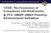 TEEB: The Economics of Ecosystems and Biodiversity€¦ · Ch.5 Ch.4 Ch.3 Ch.3. TEEB Implementation and initiatives ... testing of the SEEA-Experimental Ecosystem Accounting, including