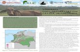 TOWARDS ZERO DEFORESTATION CATTLE IN COLOMBIA€¦ · Characterizing Colombia’s Zero Deforestation Commitments ZDCs in the Brazilian Amazon have demonstrated their potential to