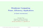 Membrane Computing: Power, Eﬃciency, Applicationsgroups.di.unipi.it/~maggiolo/lucidi_MSV/P-systems.pdf · • classes of P systems • types of results • types of applications