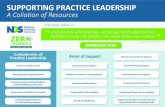SUPPORTING PRACTICE LEADERSHIP€¦ · Practice Leadership and Role Modelling This short video is about practice leadership and role modelling. (Developed by United Response and the