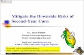 Mitigate the Downside Risks of Second-Year Corn · Secondary soil insects (low rate formulations) Corn rootworm (high rate formulations) Pre-applied to seed by seed company. Sometimes