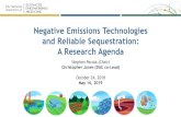 Negative Emissions Technologies and Reliable Sequestration: A … · 2019-06-11 · Christopher Jones (DAC co-Lead) October 24, 2018 May 16, 2019. Negative Emissions Technologies