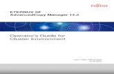 Cluster Environment Operator's Guide Appendix D Setup procedures on Windows Server 2008 x64 This appendix