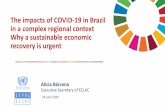 The impacts of COVID-19 in Brazil in a complex regional ... · recycling Smart cities: digitization, sustainable buildings and e-mobility Sustainable, resilient infrastructure: basic