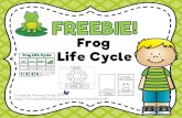 Frog Life Cycle - The Kindergarten Cornerpv5k.weebly.com/uploads/1/2/9/6/12964496/froglifecycle.pdf · Frog Life Cycle. Written by: Teaching Simply 2019 Graphics by: Sticky Foot Studio