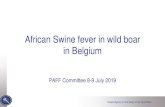 African Swine fever in wild boar in Belgium · Wild boar Area in part II of the annex –Ban on hunting wild boar –Ban on feeding wild boar –Limited access to the forest –Forest