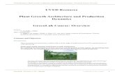 UVED Resource Plant Growth Architecture and Production ...greenlab.cirad.fr/GLUVED/html/P2_GLab/Intro/GL_Overview_Course.pdf · virtual landscapes with automated planting software