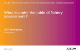 What is under the table of fishery assessment? · 2017-05-25 · Davi Rodrigues Presenting author . Abril, 2015 . IAIA 15 - 35th Annual Conference of the International Association