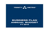 BUSINESS PLAN ANNUAL BUDGET - Trinity Metro · 2020-02-24 · 9 January 2019 Board of Directors Trinity Metro As President and Chief Executive Officer it is an honor to present Trinity