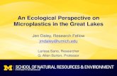 An Ecological Perspective on Microplastics in the Great Lakes€¦ · Microplastics in the Great Lakes Jen Daley, Research Fellow jmdaley@umich.edu Larissa Sano, Researcher G. Allen