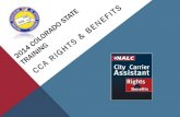 CCA RIGHTS & BENEFITS · Materials and References: • nalc.org • Rights & Benefits handout • M-01819 –jointly developed Q & A’s regarding CCA’s. CCA TERMS • CCA employees