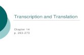 Transcription and Translation - Anoka-Hennepin School District 11 · 2014-06-13 · Transcription and Translation Chapter 14 p. 263-273 . Protein Structure ...