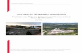CONFIDENTIAL INFORMATION MEMORANDUM · PTL Group primarily services the construction, resource and industrial sectors in NL. The Company provides site and equipment services, garage