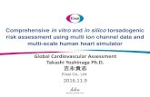 Comprehensive in vitro and in silico torsadogenic risk ... · Comprehensive in vitro and in silico torsadogenic risk assessment using multi ion channel data and multi-scale human