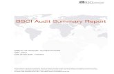 BSCI Audit Summary Report - Leather N Leatherleathernleather.in/wp-content/uploads/2015/08/BSCI-Audit...2015/05/21  · Valid GlobalG.A.P Certificate : Yes No Other Social audit :