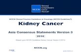 NCCN Clinical Practice Guidelines in Oncology (NCCN Guidelines …zlfzyjs.wfmc.edu.cn/.../716424f8-4c1f-4dd7-968b-2906128d2847.pdf · Categorization of the final consensus reached