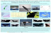 conference poster - Biosphere Expeditions · conference poster.jpg Author: Malika Fettak Created Date: 11/23/2010 11:37:47 AM ...