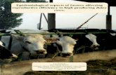 Epidemiological aspects of factors affecting reproductive · - 8 - A les úniques realment imprescindibles en aquesta tesi: les granges de vaques. He d’agrair a les granges Giribet,