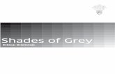 Shades of Grey - Enlighteneprints.gla.ac.uk/25451/4/25451.pdf · CA House • 21 Haymarket Yards • Edinburgh • EH12 5BH Tel: 0131 347 0240 • Fax: 0131 347 0114 Email: accountingandauditing@icas.org.uk