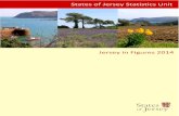 Jersey in Figures 2014 - Government of Jersey and...‘Jersey in Figures 2014’ is published by the States of Jersey Statistics Unit. We are grateful to all States departments and