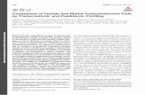 Comparison of Human and Murine Enteroendocrine Cells by … · 2018-08-14 · Comparison of Human and Murine Enteroendocrine Cells by Transcriptomic and Peptidomic Proﬁling Geoffrey
