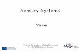 Sensory Systems · Sensory Systems Visioin Training for students of MediTec project 1. –15.9.2019, Kosice, Slovakia. Department of Human physiology, Medical faculty UPJS in Kosice