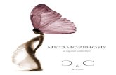 METAMORPHOSIS - cec-milano.com · “Metamorphosis” is the new capsule collection from C&C Milano which represents a unique collaboration between world renowned master photographer