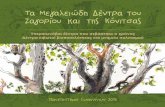 Τα Μεγαλειώδη Δέντρα του - Forest Lifeforestlife.gr/wp-content/uploads/2016/04/vivlio-Ta-megaleiodi-dentra.… · 12 13 Γνωρίσματα, λειτουργίες